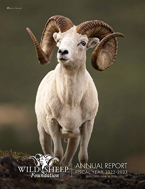 WSF Annual Report Cover with Dall's Sheep FY 22-23